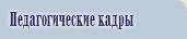 Педагогические кадры
