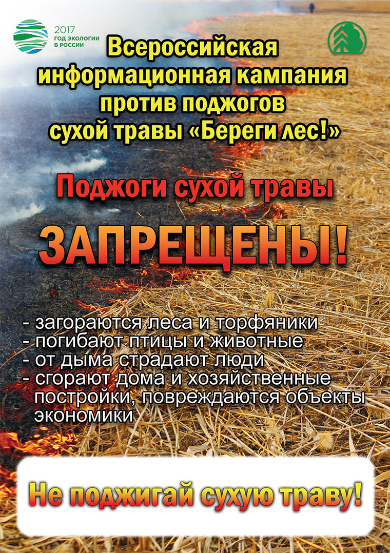 Поджоги сухой травы - основная причина лесных пожаров Поджоги сухой травы - основная причина лесных пожаров