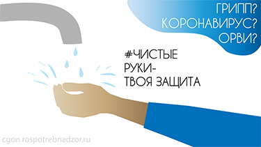 профилактика заболеваемости гриппом и ОРВИ профилактика заболеваемости гриппом и ОРВИ